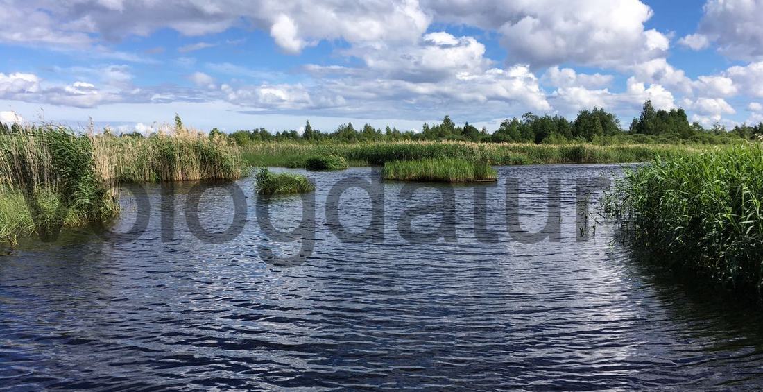 Ковжский разлив на озере Белое Вологодской области