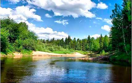 Плес малой реки где можно найти рыбу фотография