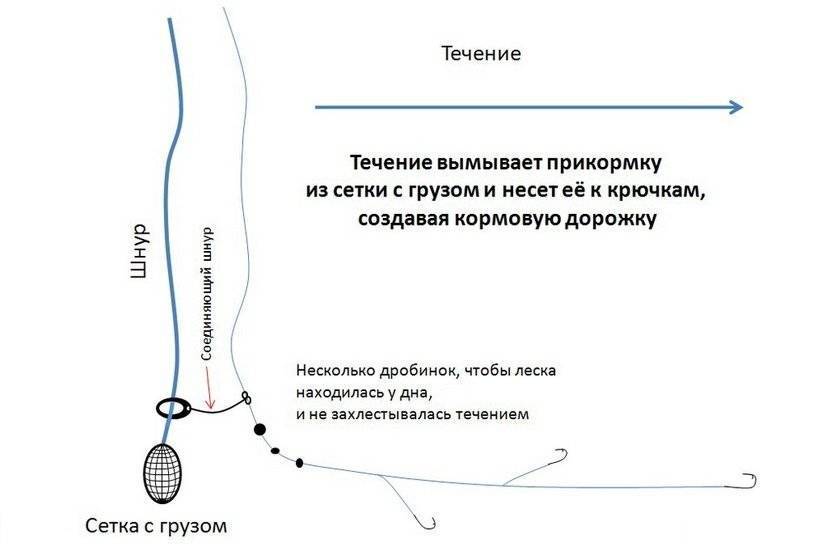 Схема сборки фидерной снасти на леща