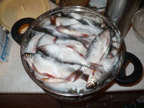 Засолка рыбы
