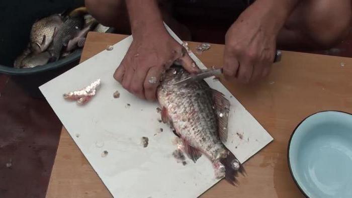 как правильно почистить рыбу 