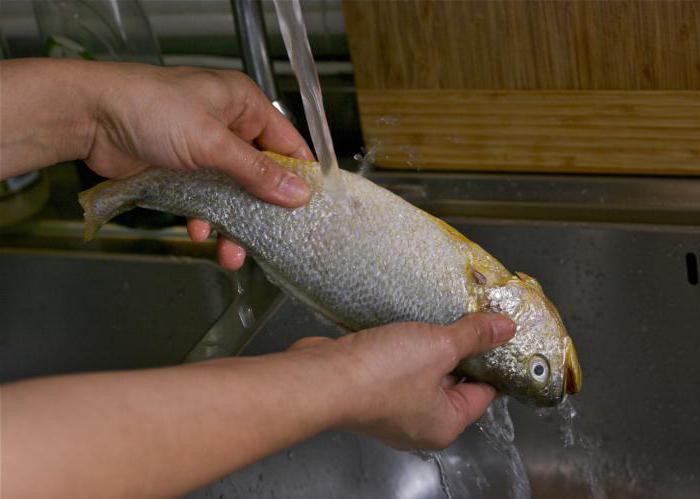 как быстро почистить рыбу от чешуи 