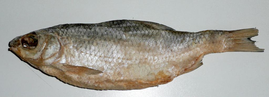 Рыба частиковых пород описание породы