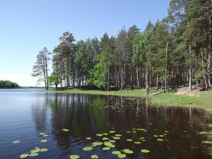озера в нижегородской области для отдыха