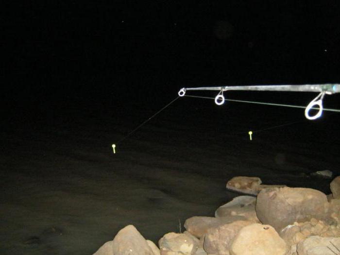 электронный светлячок для ночной рыбалки своими руками