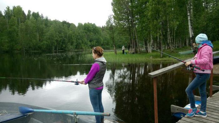 Озеро Любимовское Леенинградсккая область рыбалка