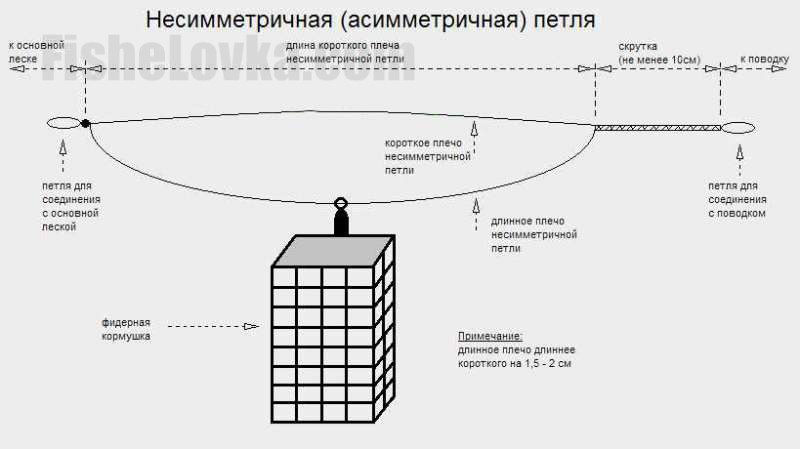 Схема ассиметричной петли.