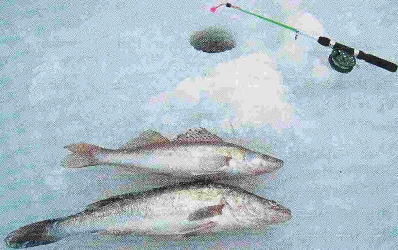 Для крупной рыбы нужна прочная снасть.