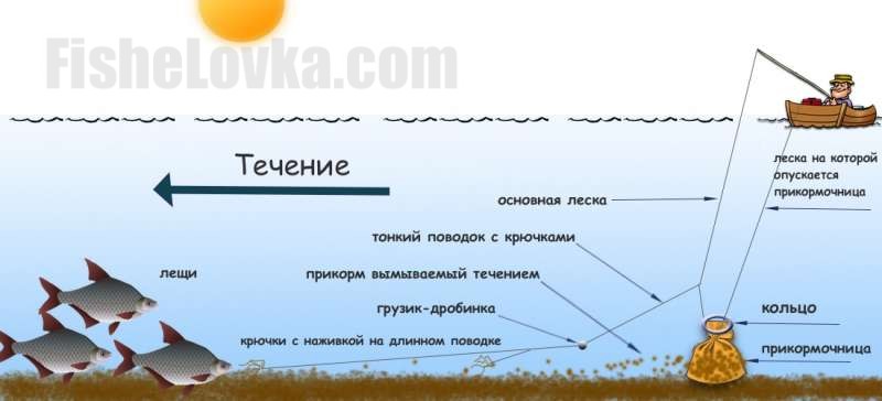 Принципиальная схема ловли леща на кольцо
