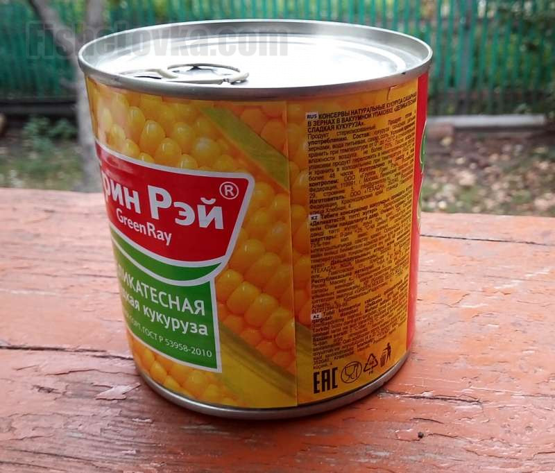Кукурузу любят все рыбы семейства карповых.