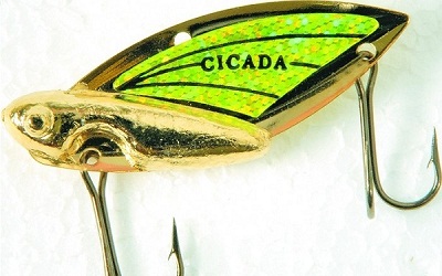 Приманка Цикада - ловля на блесну (фото, видео и отзывы)