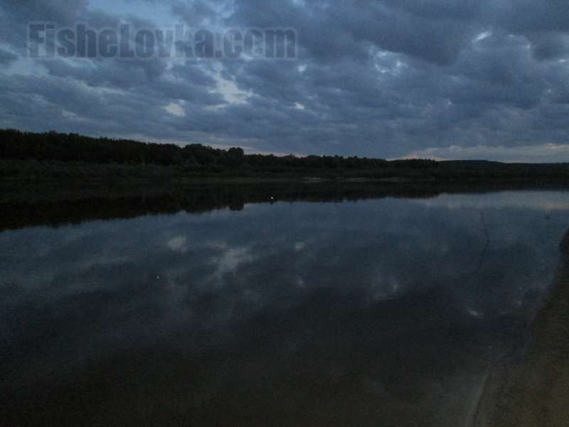 Ночь на реке - оптимальное время для ловли налима.