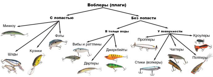 Классификация и характеристики