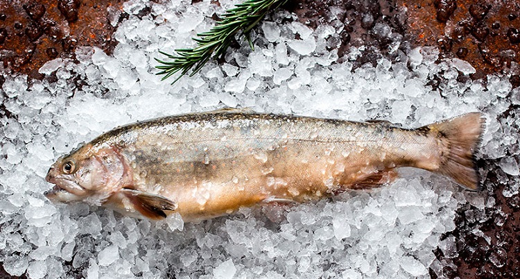 Голец фото рыба Голец Ваше имя (обязательно) Ваш email