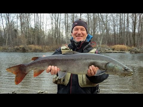 Рыбалка в Сибири на Ленка и Тайменя. Река Бикин.