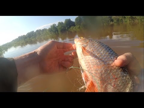 Рыбалка сетями летом после дождей