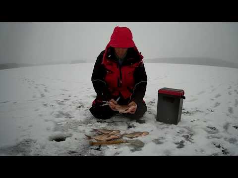 Фанера на "медузу" с 11 метров!