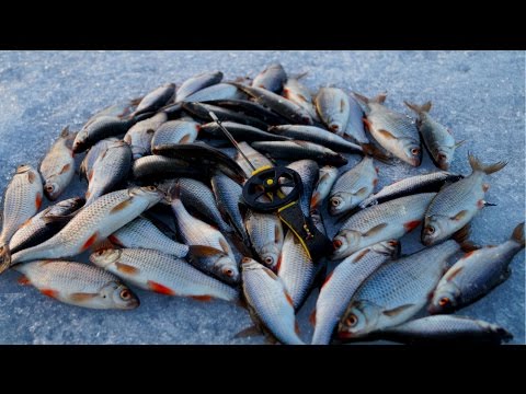 Ловля плотвы на чертика. Зимняя рыбалка на безмотылку - YouTube