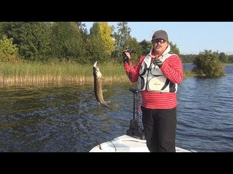 Вуокса. Рыбалка в Ленинградской области