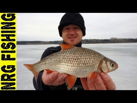 Ловля плотвы которая ломает крючки