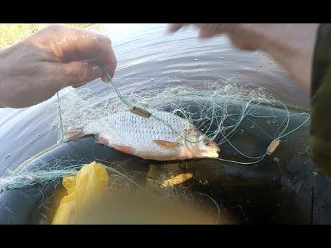 Рыбалка сетью после дождей в затопленных кустах