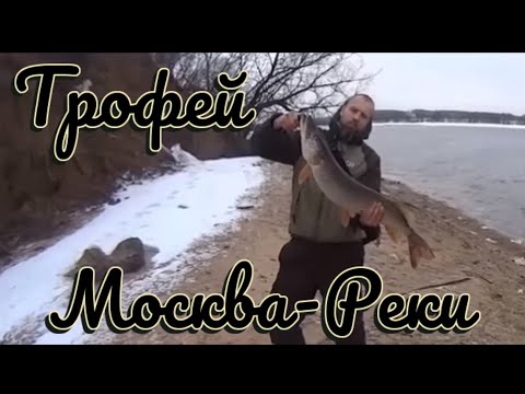 Рыбалка на нижней Москва-реке в Чулково