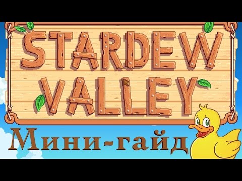 Stardew Valley: мини-гайд