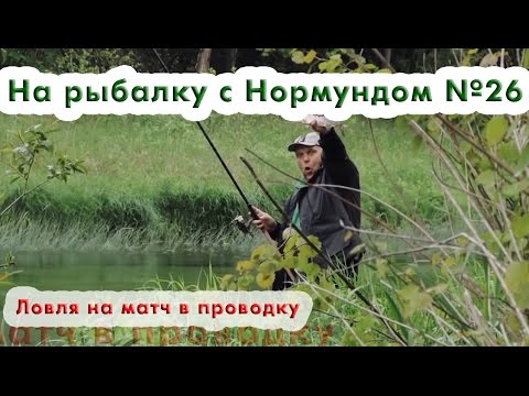 Ловля на матч в проводку : На рыбалку с Нормундом #26