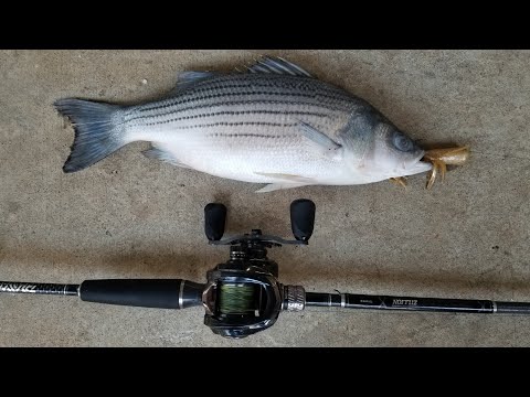 How to Set the Hook - Fishing tips and techniques to catch more fish.