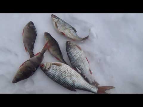 Зимняя Рыбалка на Реке Пехорка в Балашихе