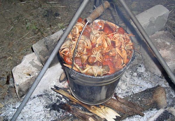 Раки в ведре