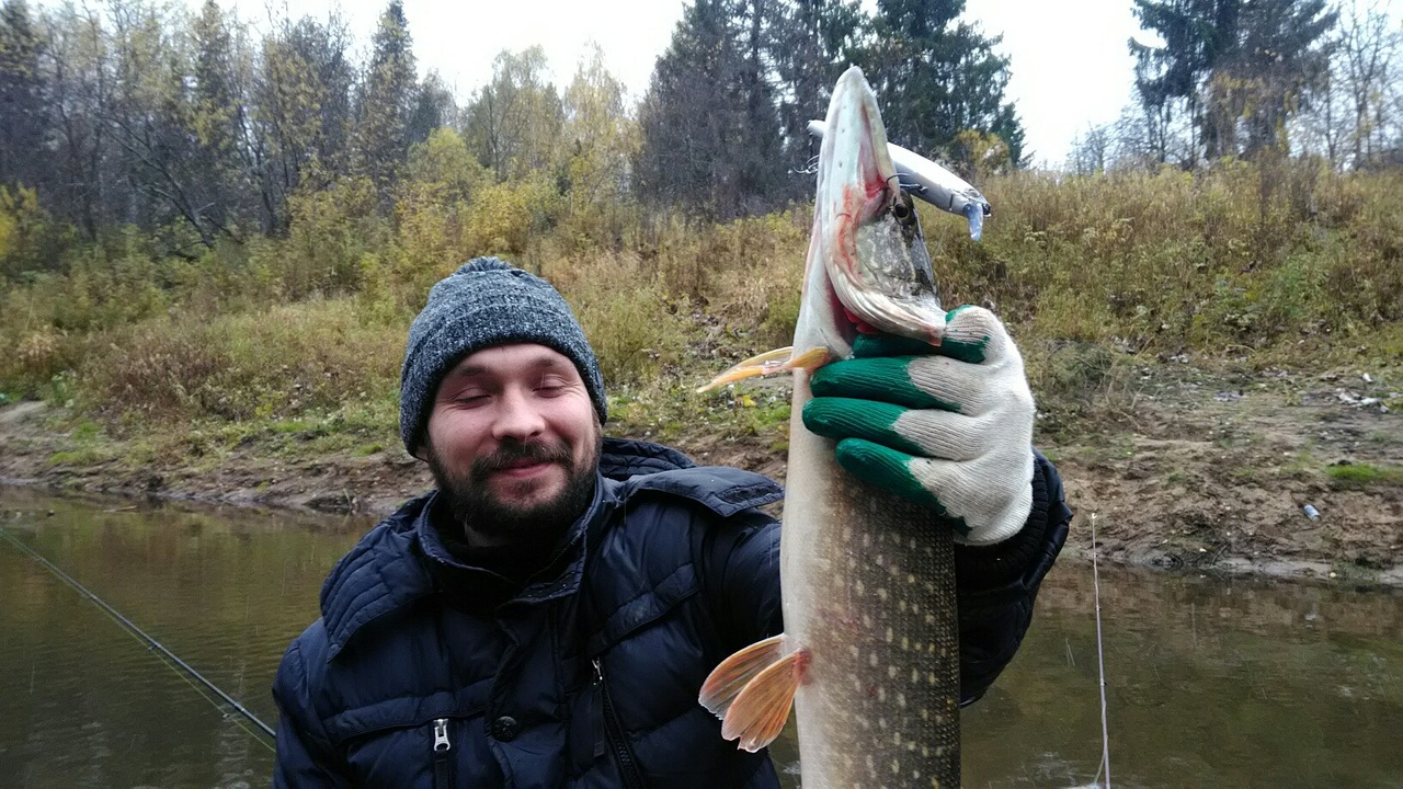 Рыбалка в кировской области зимой. Прогноз клева рыбы ершов саратовская область. Календарь рыбака. Таблица клева. Прогноз клева кировская.