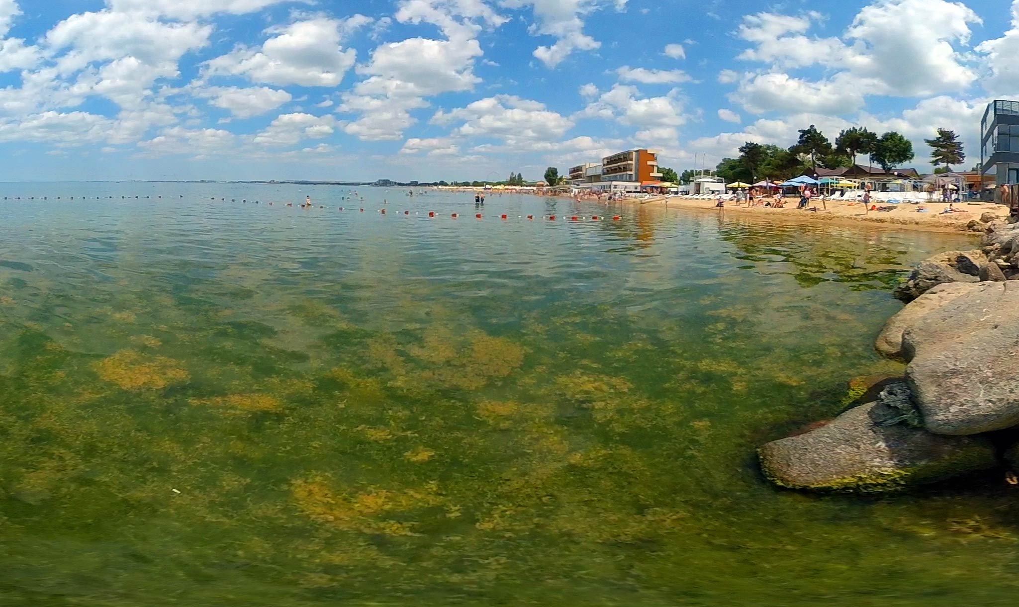 Море в Анапе цветёт в августе 2019 или нет: можно ли купаться в период цветения моря