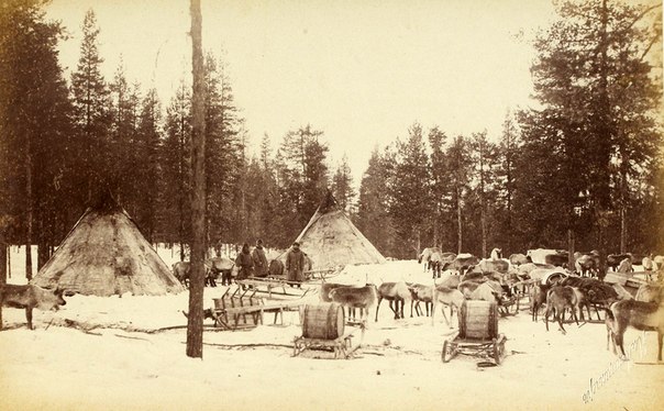 Стойбище самоедов. 1887 г. Архангельская губерния. Автор: Я.И. Лейцингер