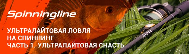 Изображение 1 : Ультралайтовая ловля на спиннинг. Часть 1. Ультралайтовая снасть