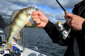 Рыбалка на спиннинг: тонкости ловли хищной рыбы