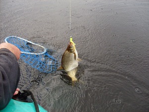 Советы опытных рыболовов как увеличить улов рыбы