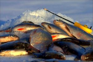 снасти для зимней рыбалки мормышки