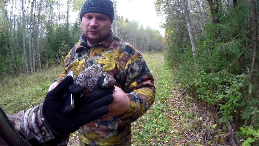 Охота на рябчика в Сибири