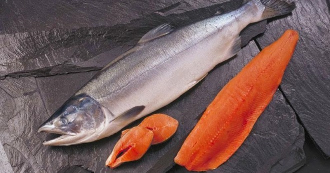 Что за рыба чавыча и как ее готовить по вкусным рецептам?