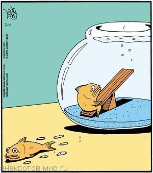 забавный анекдот про рыбу